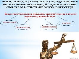 Ответственность за правонарушения в природоохранной сфере