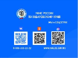 Быстро решить вопросы с заблокированными счетами помогут  сервисы ФНС России