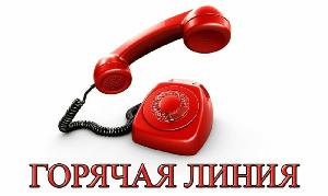 Николаевская-на-Амуре межрайонная природоохранная прокуратура проведёт «горячую линию» по вопросу соблюдения прав субъектов предпринимательской деятельности  