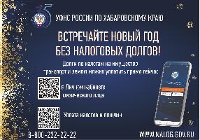 Встречайте Новый год без налоговых долгов!